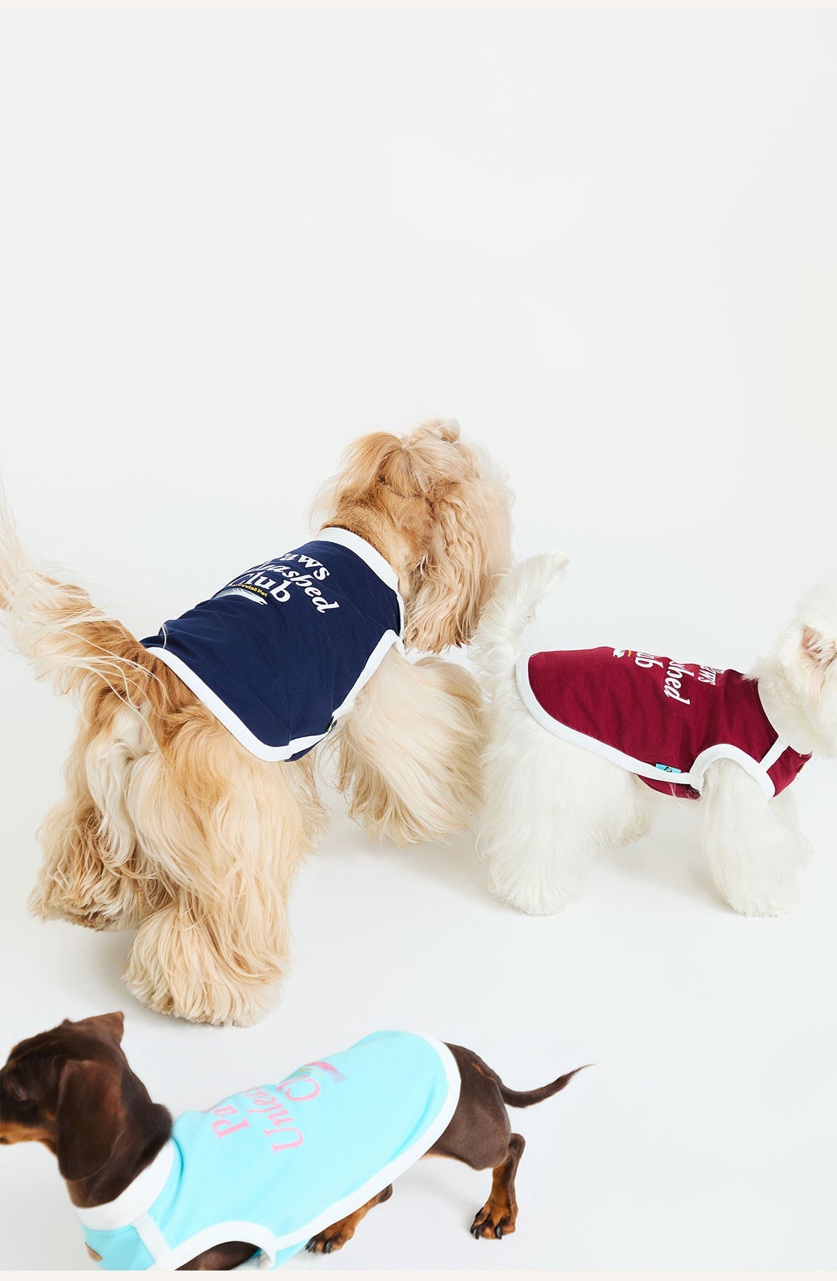 General Dog Clothes