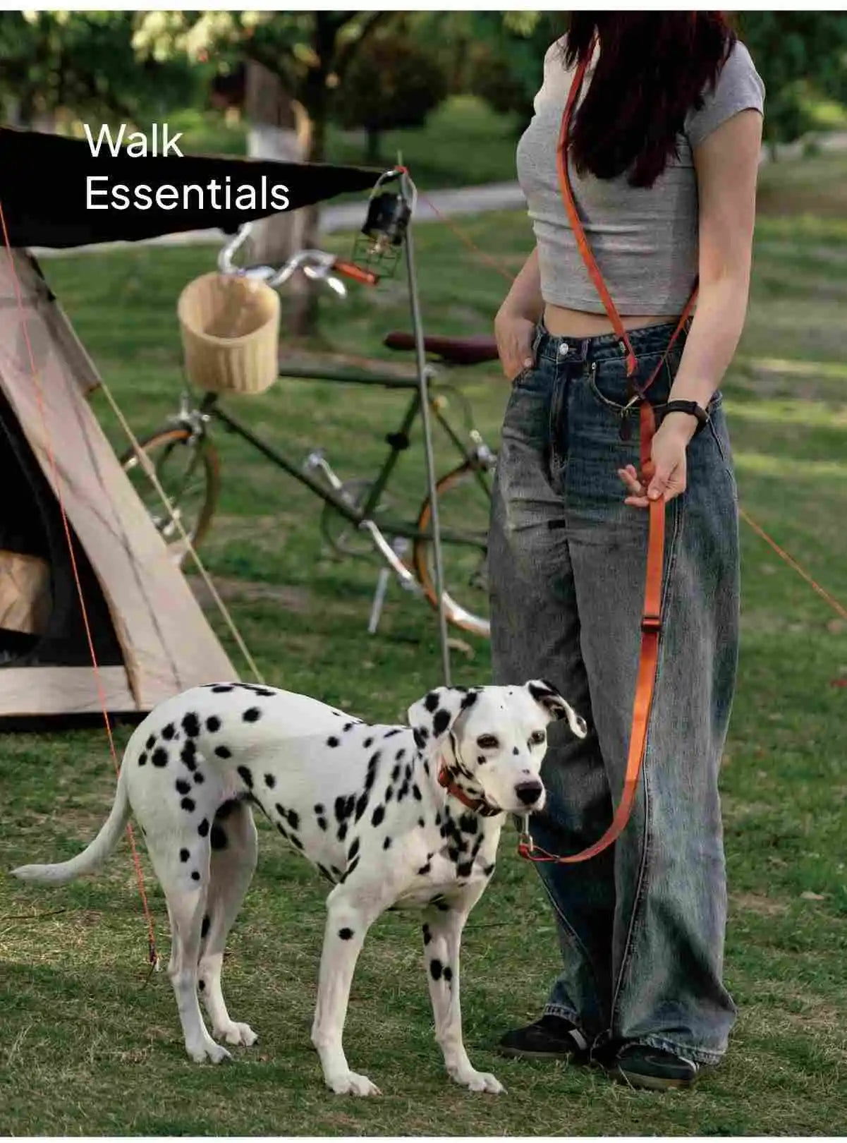 Hands-Free Multi-Function Dog Leash