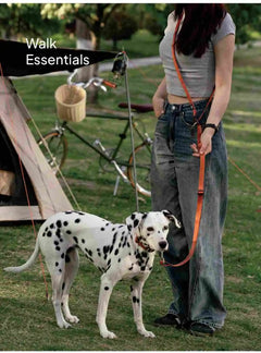 Hands-Free Multi-Function Dog Leash