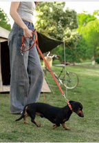 Hands-Free Multi-Function Dog Leash