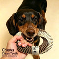 Antibacterial Rope Ring Dog Toy