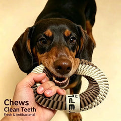 Antibacterial Rope Ring Dog Toy