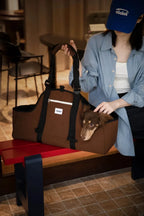 Dachshund Travel Carrier Bag
