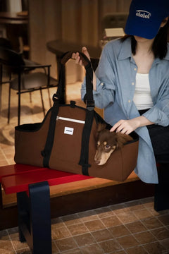Dachshund Travel Carrier Bag