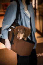Dachshund Travel Carrier Bag
