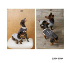 Nomadic Print Matching T-Shirt – Human & Pet