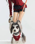 Sport Cool Matching Set – Human & Pet