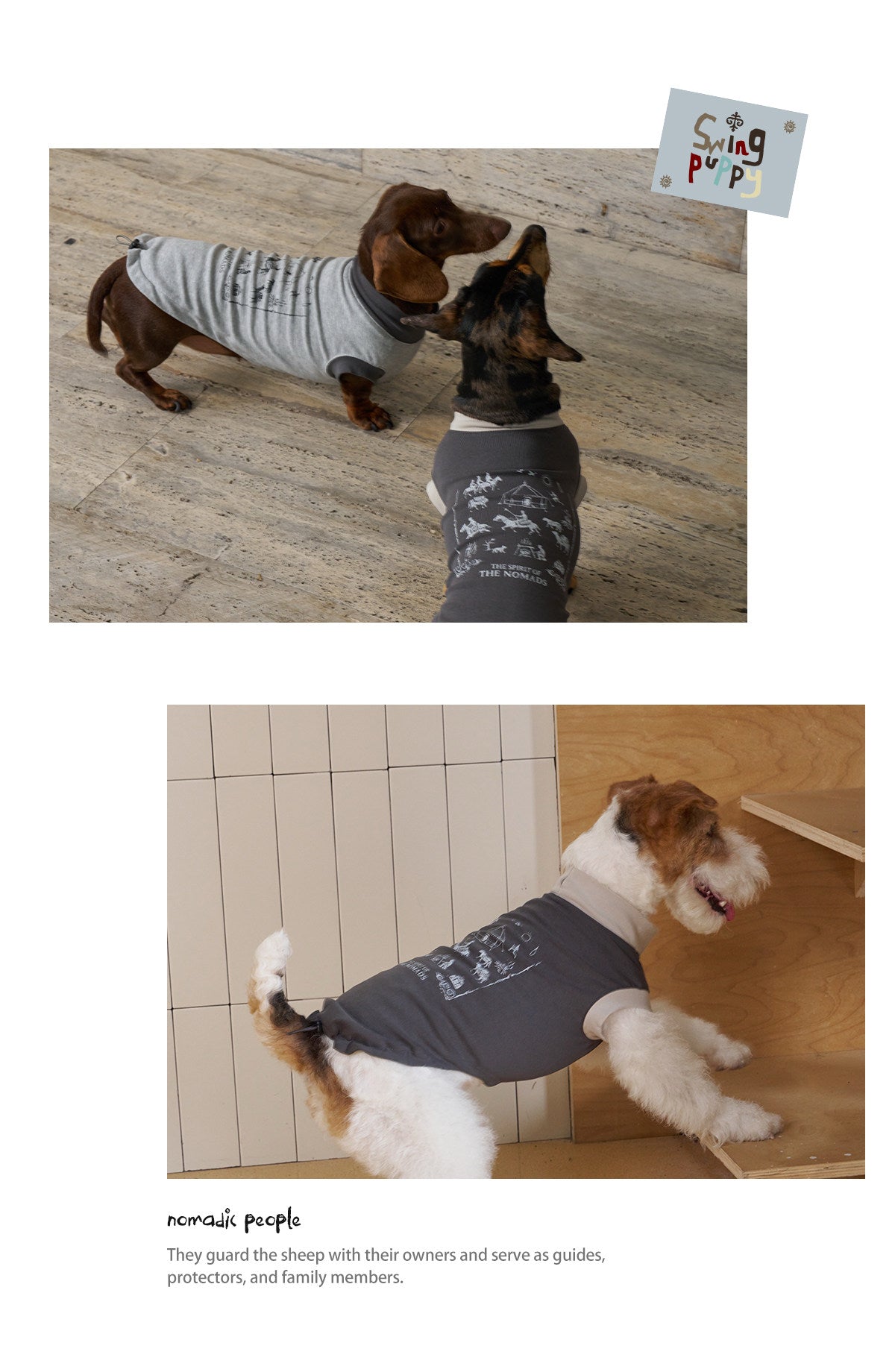 Nomadic Print Matching T-Shirt – Human & Pet
