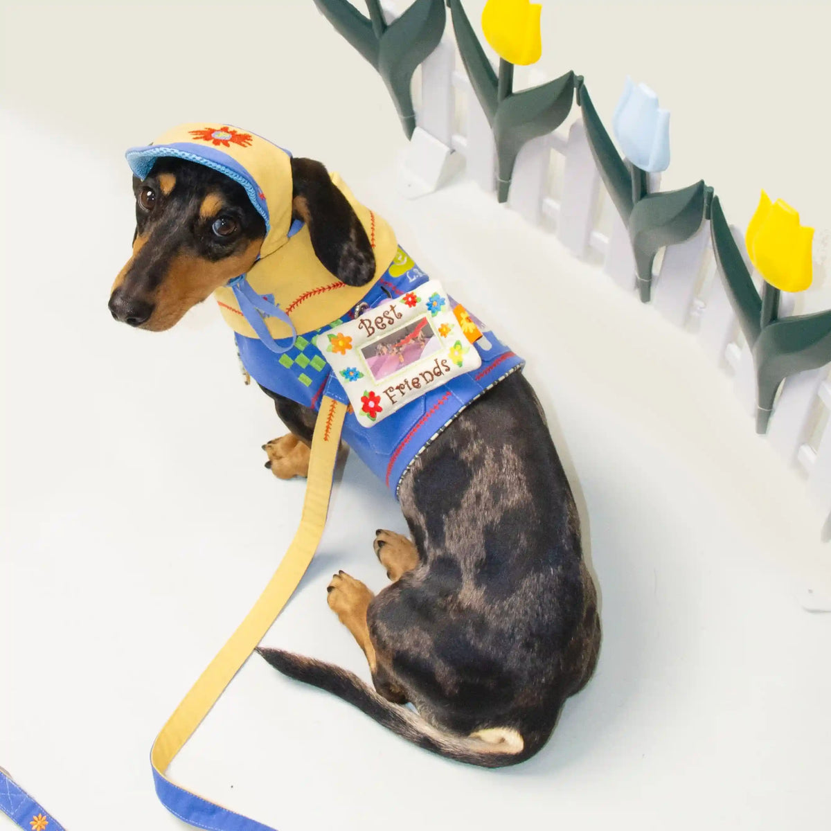 Embroidered Pet Photo Frame