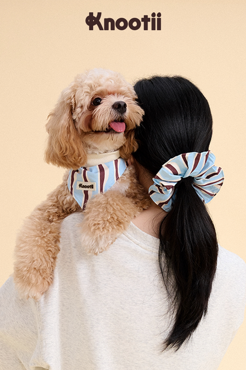 Matching Pet & Owner Bandana + Hair Bow Gift Set