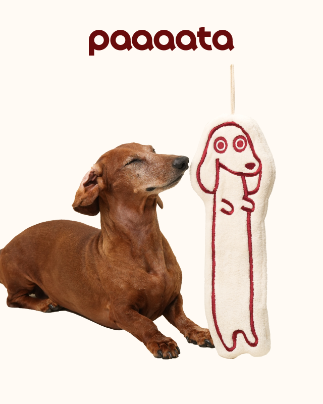 Dachshund Hand Towel – Super Soft Coral Fleece
