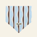 Matching Pet & Owner Bandana + Hair Bow Gift Set