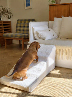Waterproof Anti-Slip Dog Ramp for Small Dogs