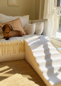 Waterproof Anti-Slip Dog Ramp for Small Dogs