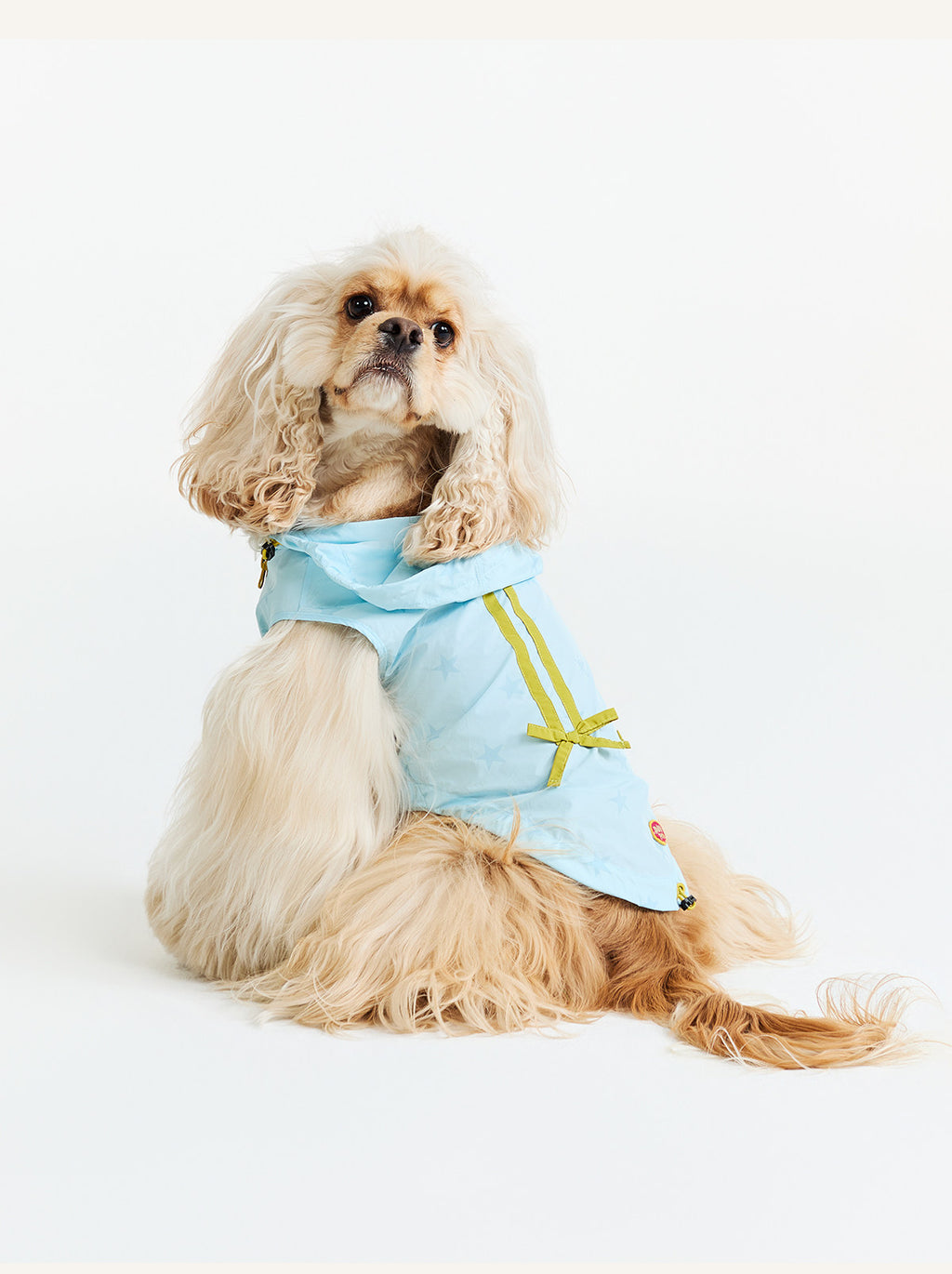 UPF50+ Sun-Protective Matching Jacket – Human & Pet