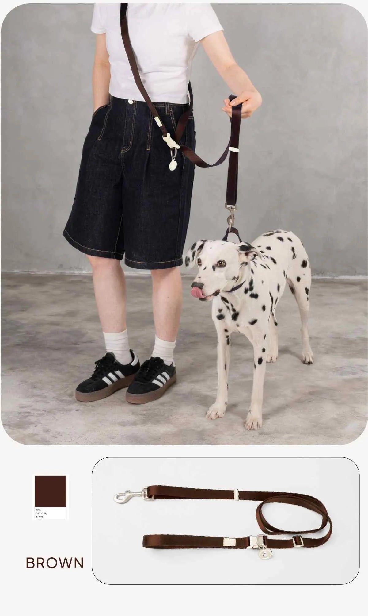 Hands-Free Multi-Function Dog Leash