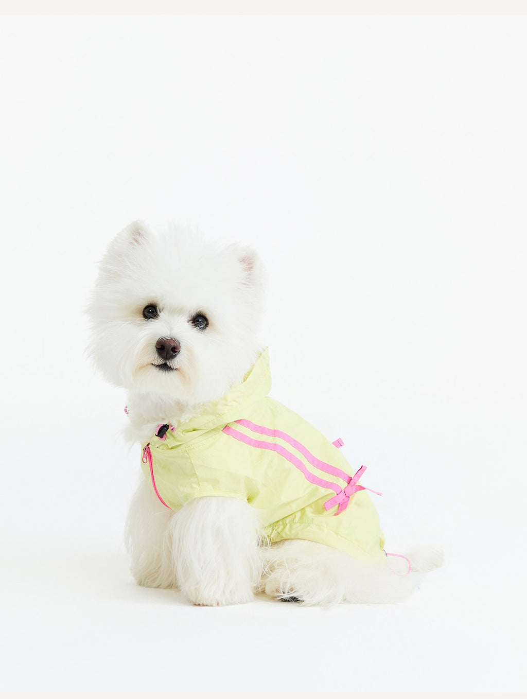 UPF50+ Sun-Protective Matching Jacket – Human & Pet