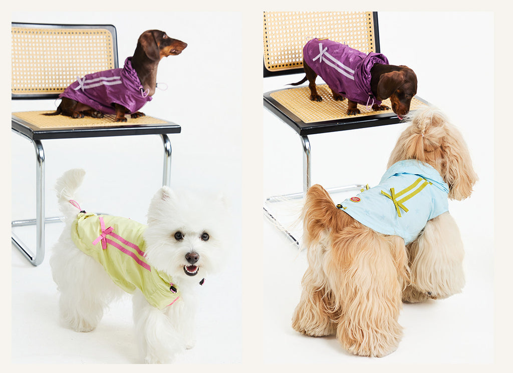 UPF50+ Sun-Protective Matching Jacket – Human & Pet