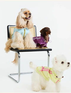Sun-Protective Matching Jacket – Human & Pet