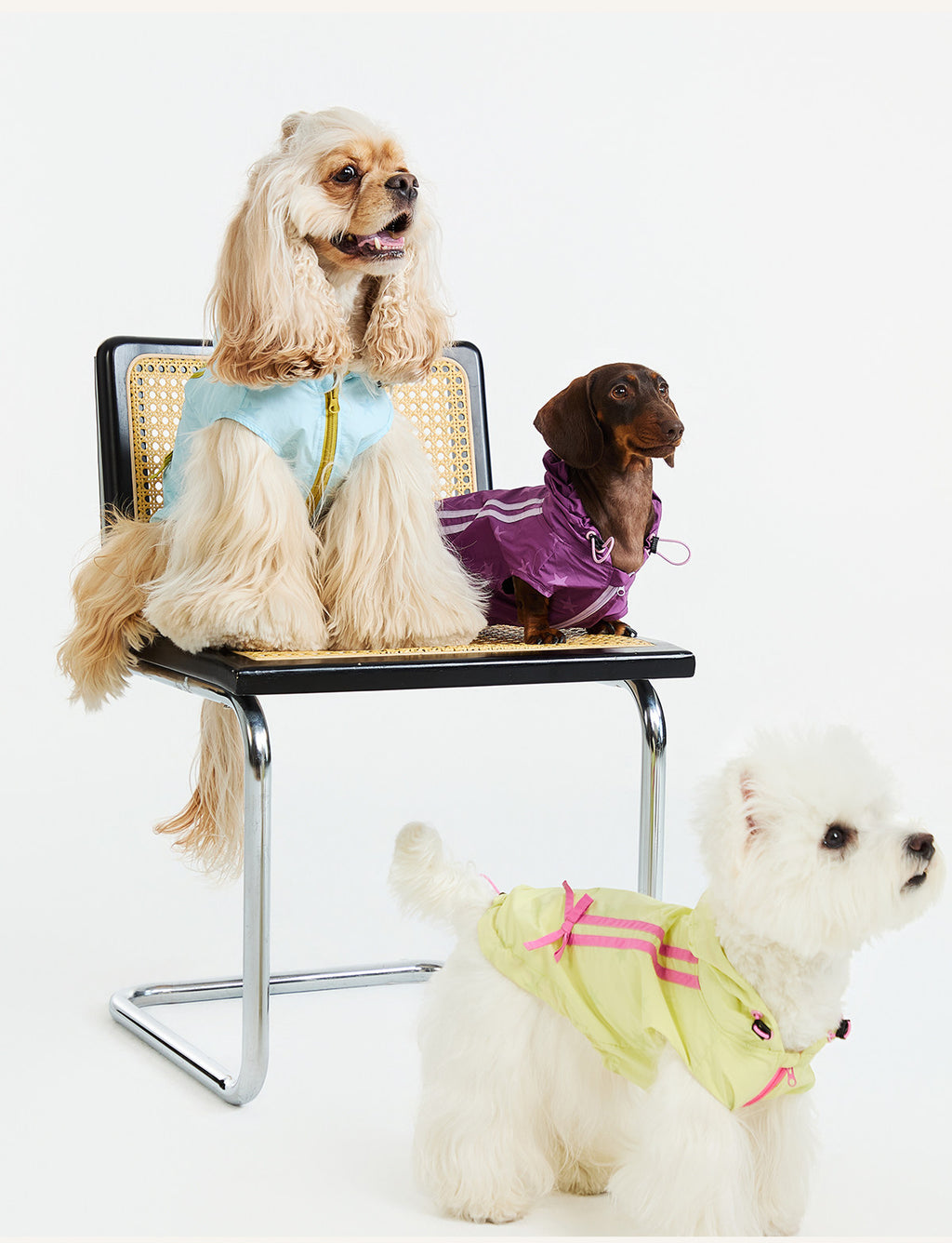 UPF50+ Sun-Protective Matching Jacket – Human & Pet