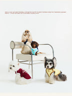 Matching Cool T-Shirt – Human & Pet