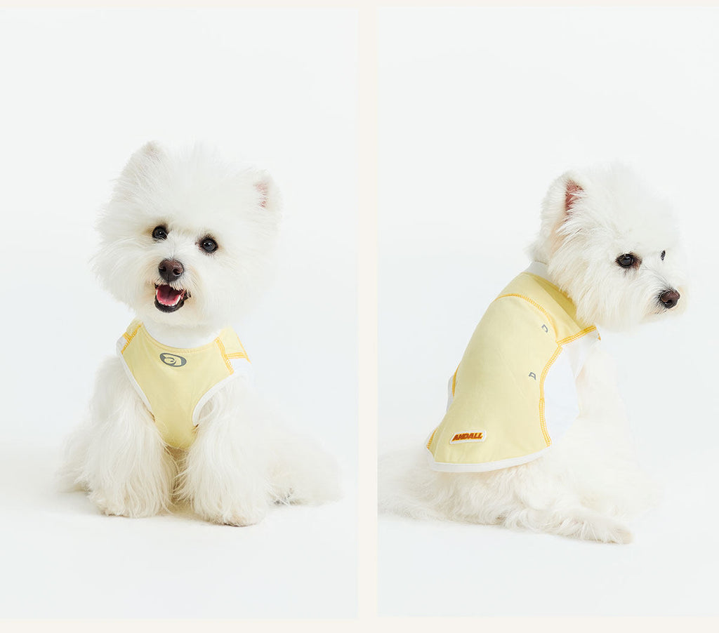 Sport Cool Matching Set – Human & Pet