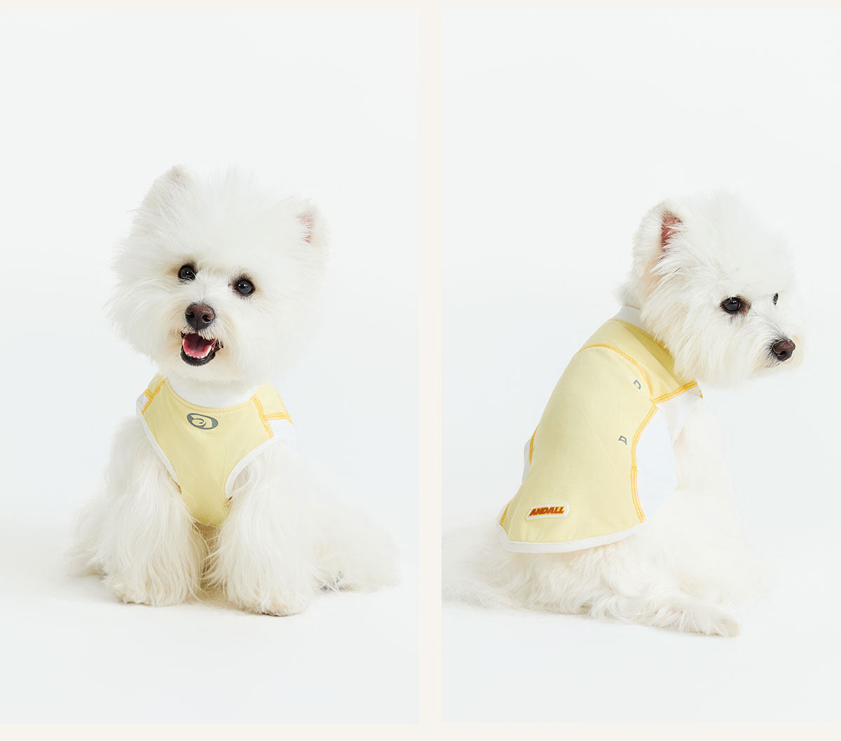 Sport Cool Matching Set – Human & Pet