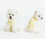 Sport Cool Matching Set – Human & Pet
