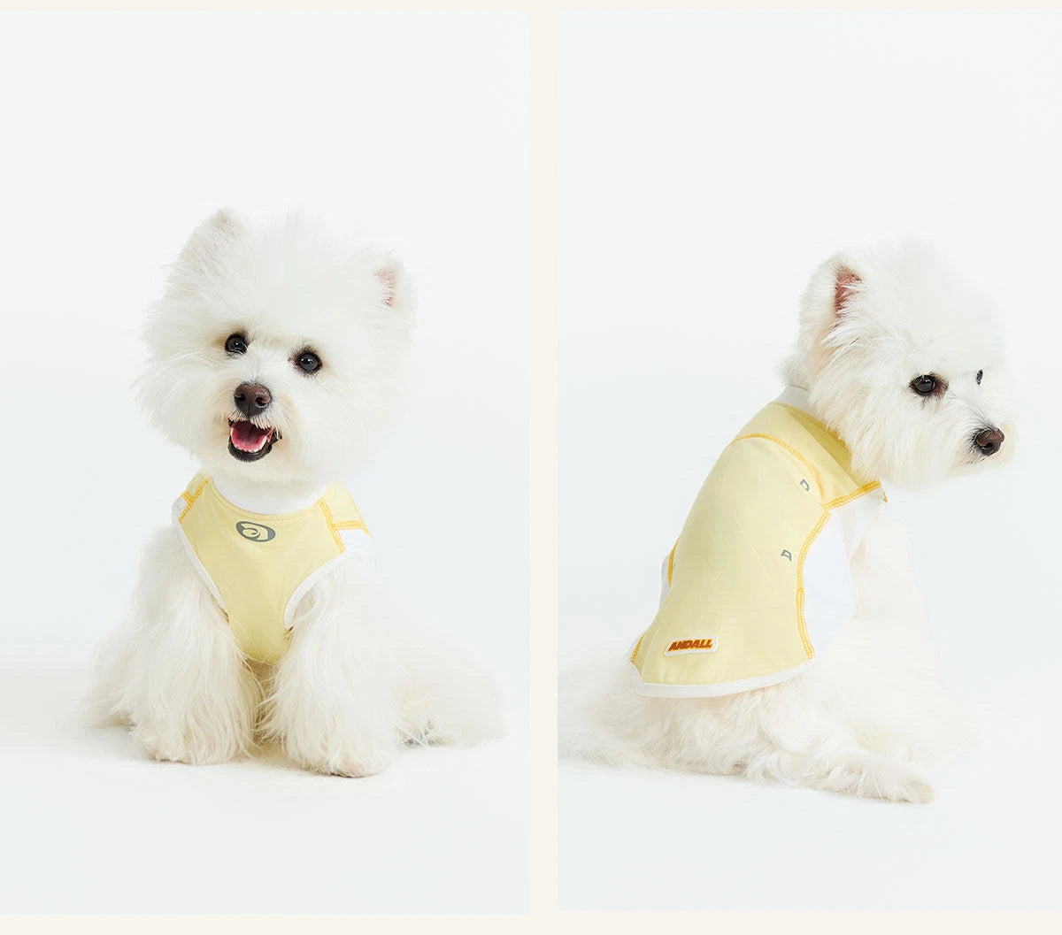 Sport Cool Matching Set – Human & Pet