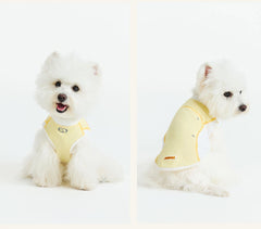 Sport Cool Matching Set – Human & Pet