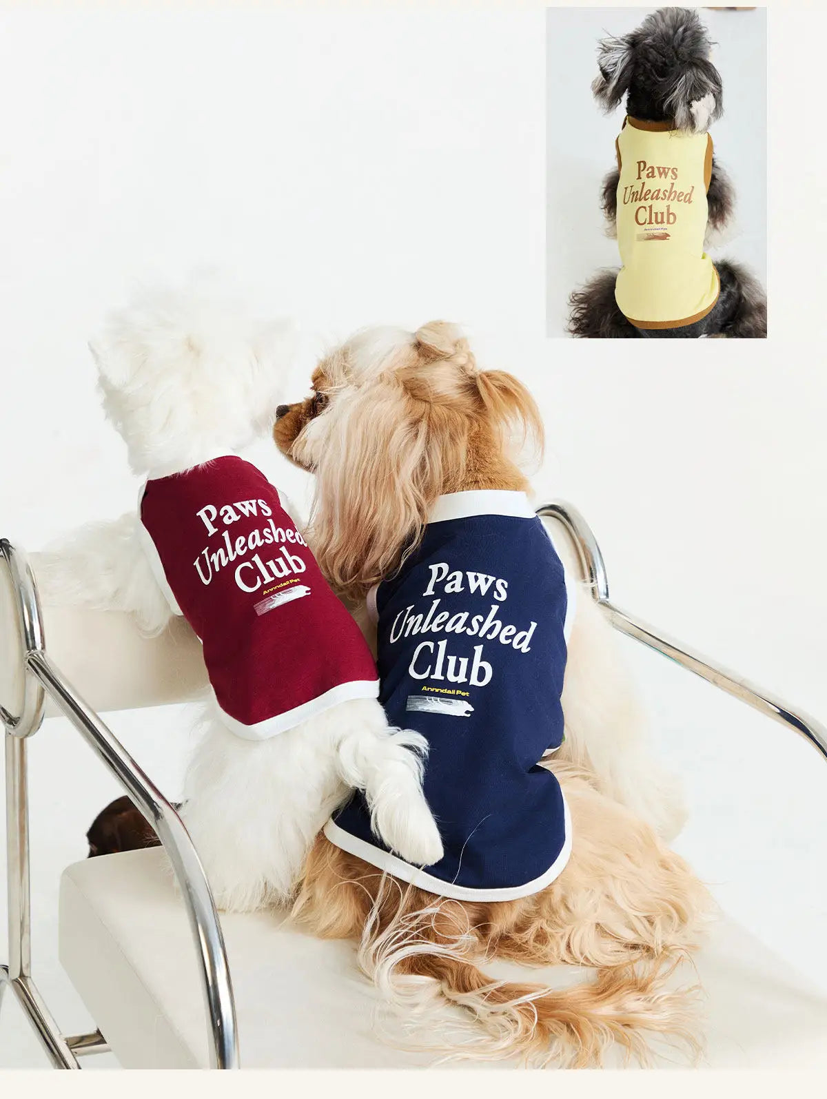 Matching Cool T-Shirt – Human & Pet