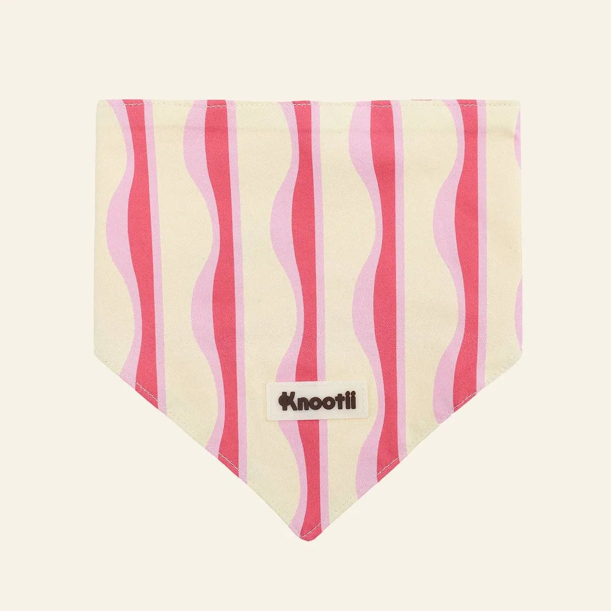 Matching Pet & Owner Bandana + Hair Bow Gift Set