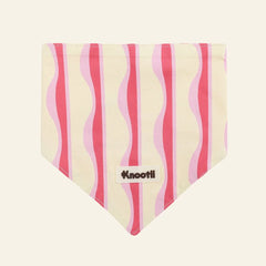 Matching Pet & Owner Bandana + Hair Bow Gift Set