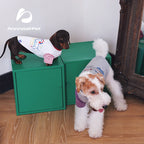 Faux Two-Piece Matching Sweatshirt – Human & Pet