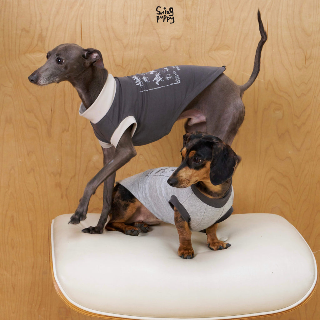 Nomadic Print Matching T-Shirt – Human & Pet