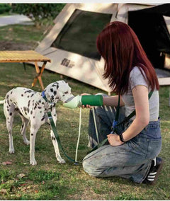 Hands-Free Multi-Function Dog Leash