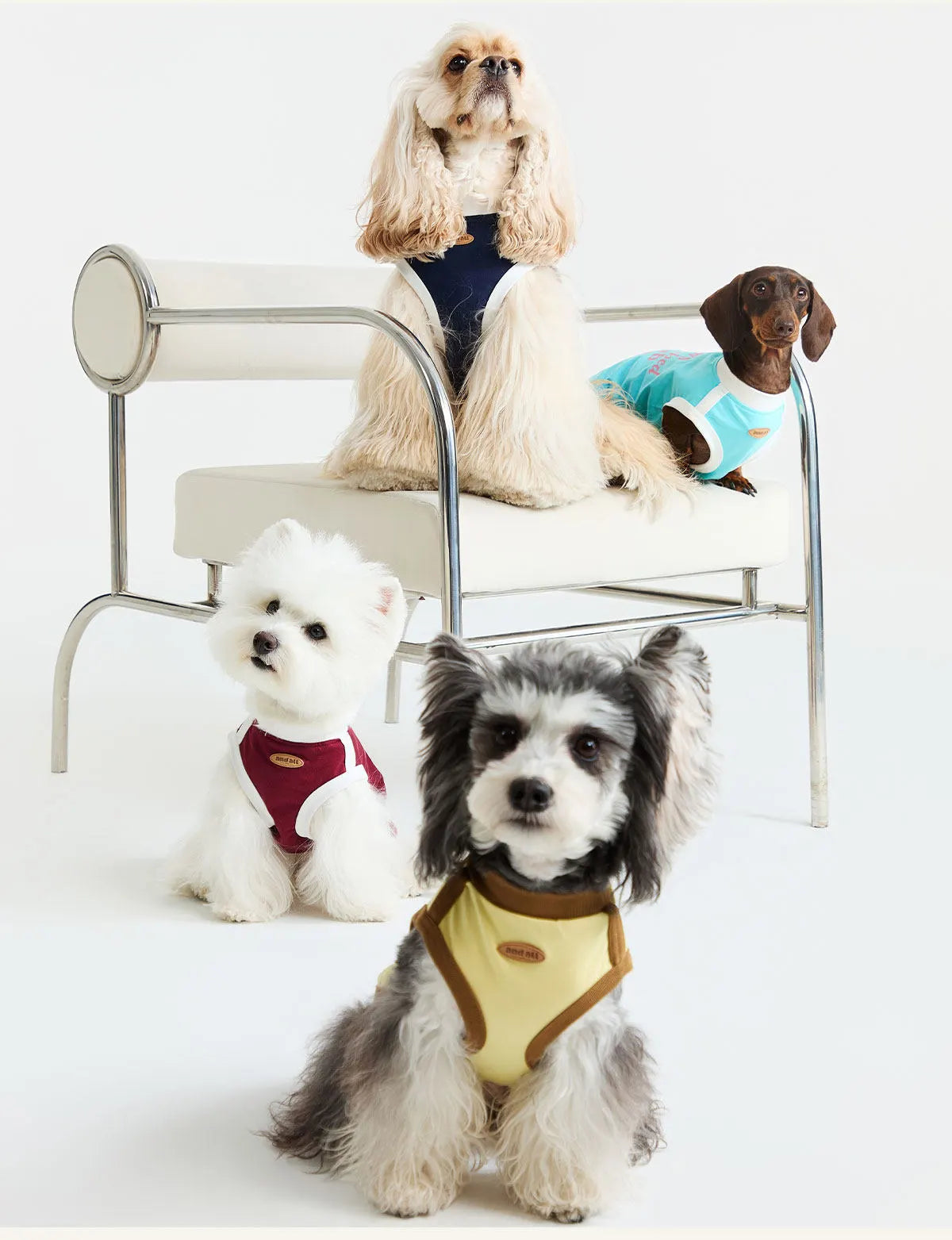 Matching Cool T-Shirt – Human & Pet