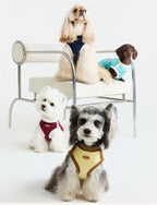 Matching Cool T-Shirt – Human & Pet