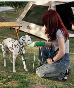 Hands-Free Multi-Function Dog Leash