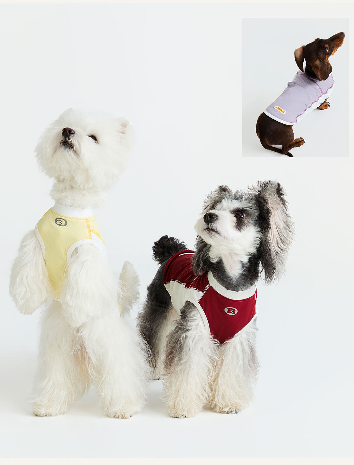Sport Cool Matching Set – Human & Pet