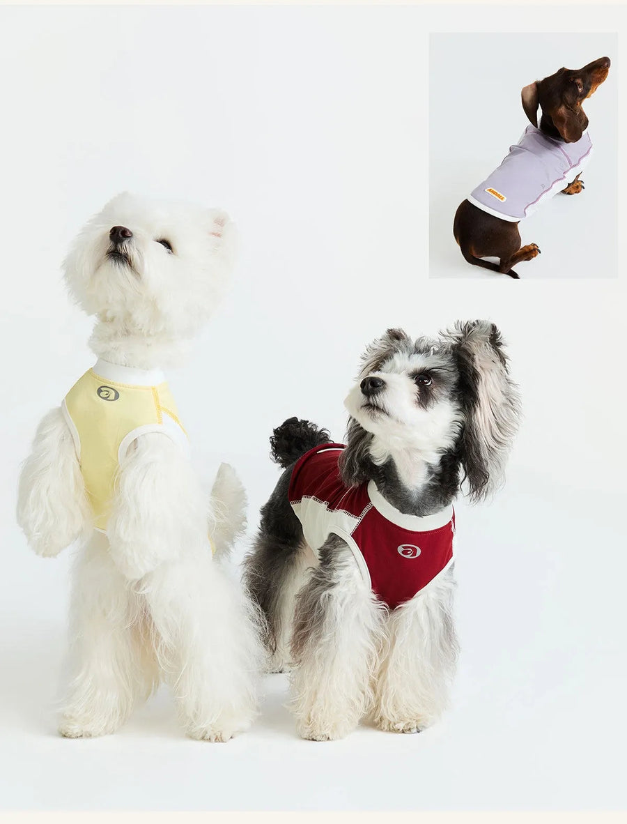 Sport Cool Matching Set – Human & Pet