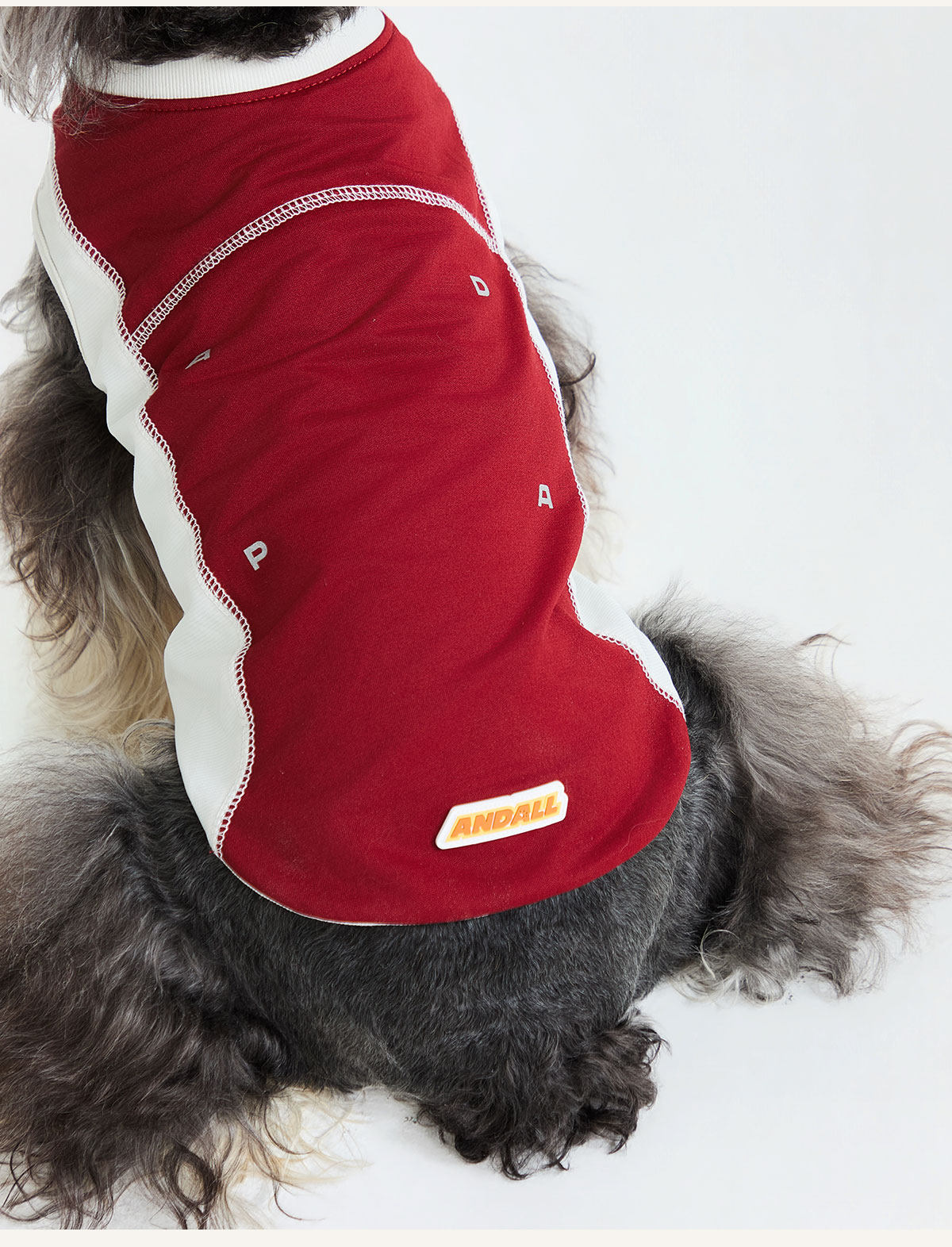 Sport Cool Matching Set – Human & Pet