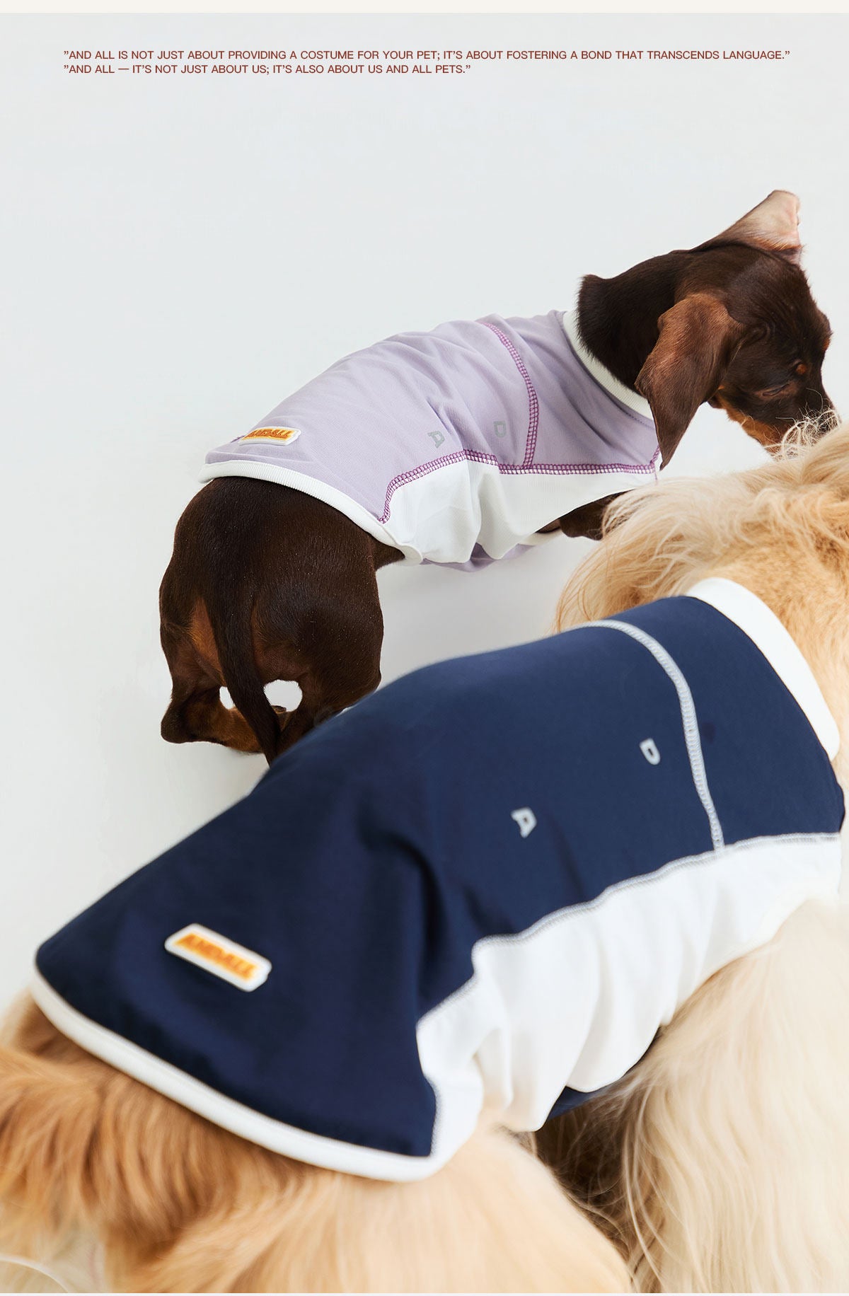 Sport Cool Matching Set – Human & Pet
