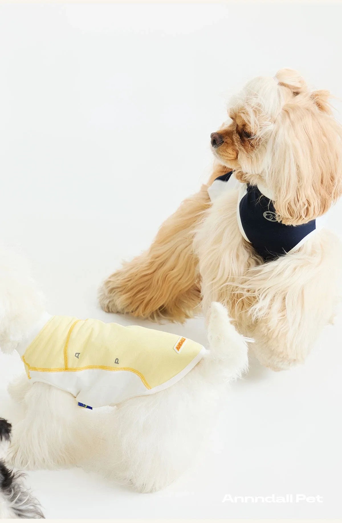 Sport Cool Matching Set – Human & Pet