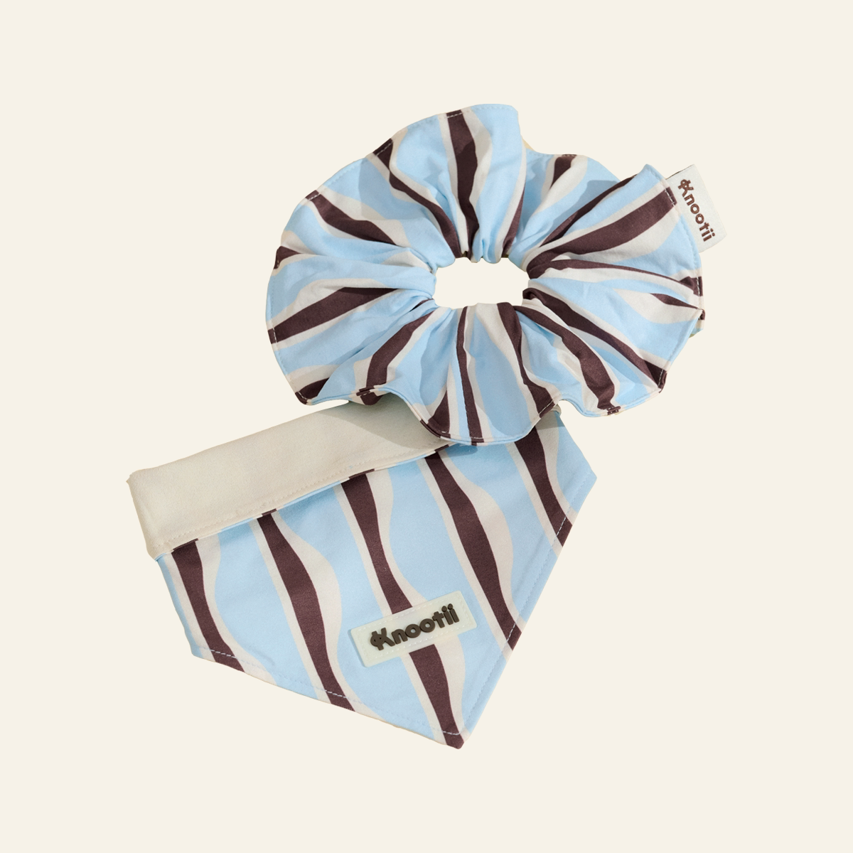 Matching Pet & Owner Bandana + Hair Bow Gift Set