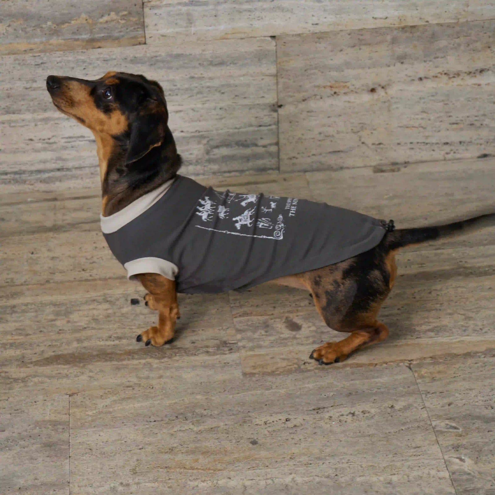 Nomadic Print Matching T-Shirt – Human & Pet