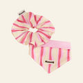 Matching Pet & Owner Bandana + Hair Bow Gift Set