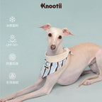 Matching Pet & Owner Bandana + Hair Bow Gift Set