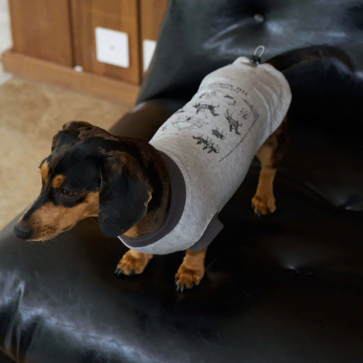 Nomadic Print Matching T-Shirt – Human & Pet