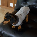 Nomadic Print Matching T-Shirt – Human & Pet